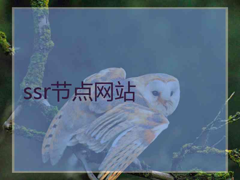 ssr节点网站