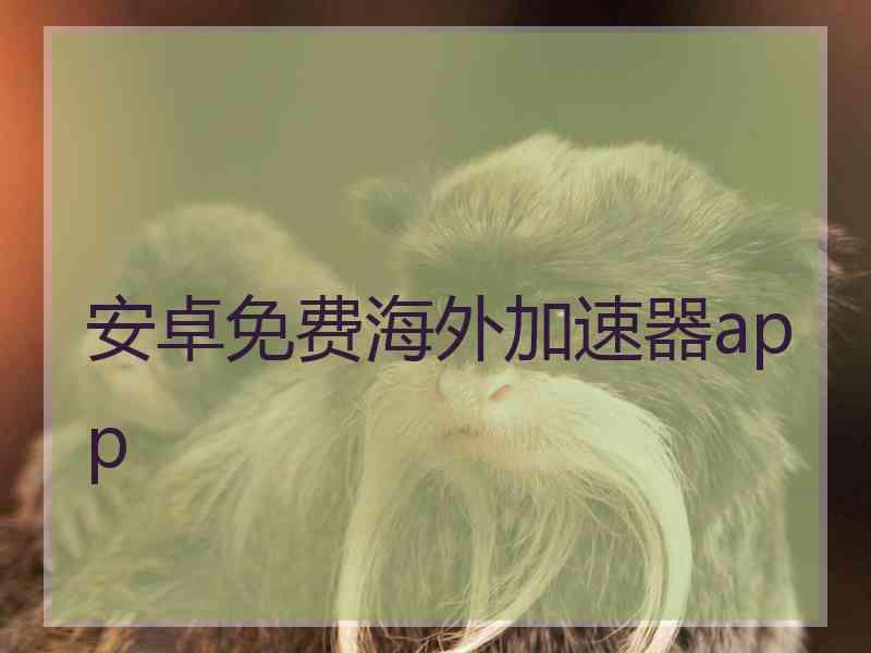 安卓免费海外加速器app