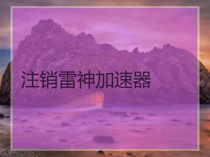 注销雷神加速器
