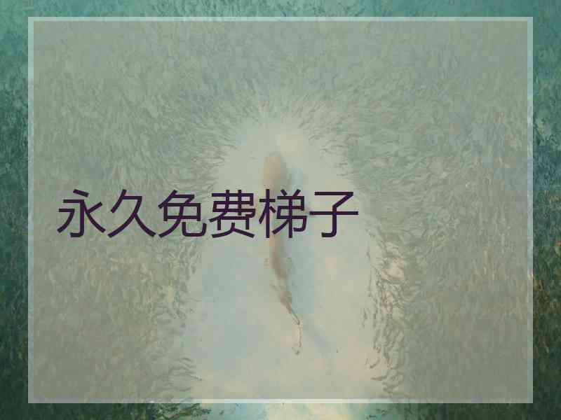 永久免费梯子
