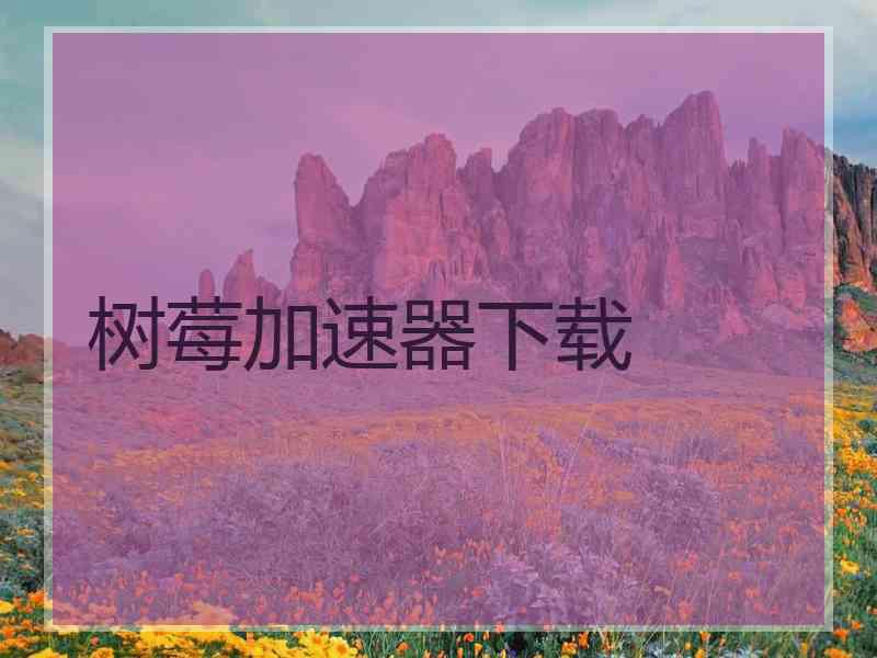 树莓加速器下载