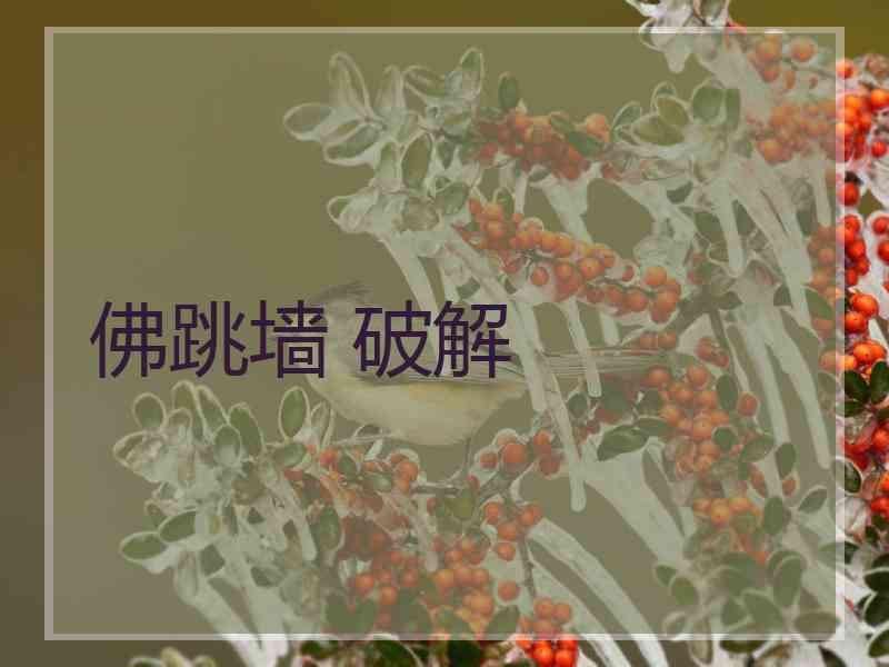 佛跳墙 破解