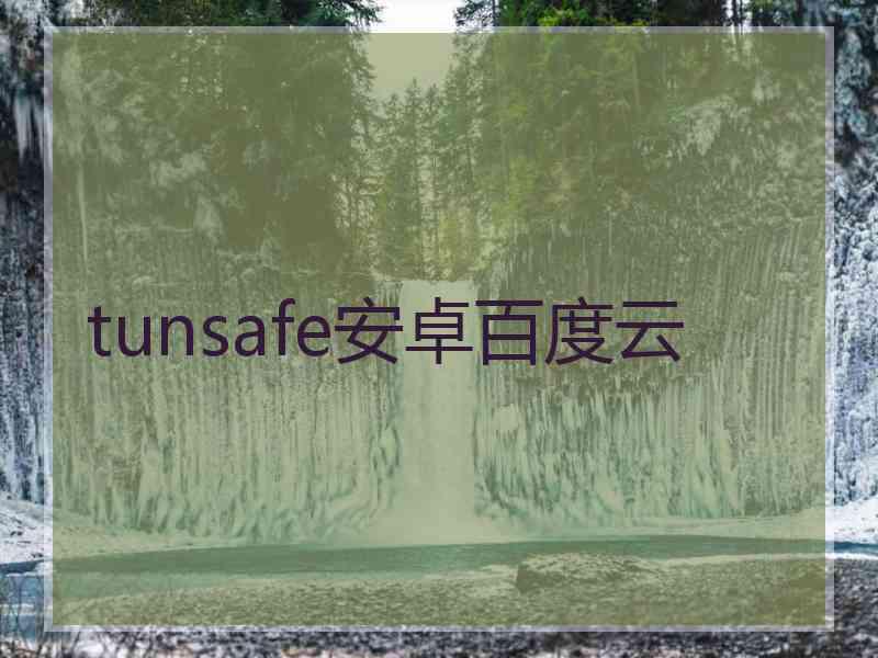 tunsafe安卓百度云