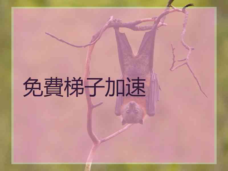 免費梯子加速