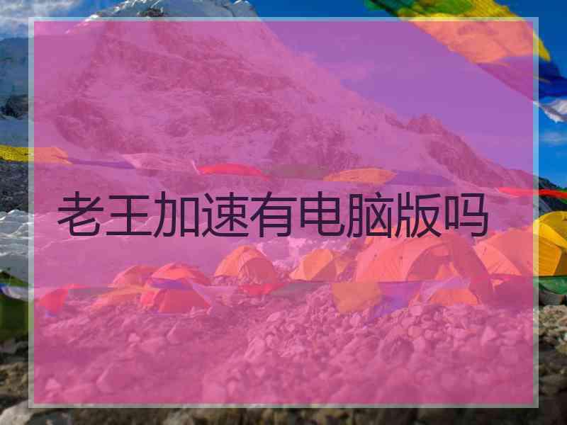 老王加速有电脑版吗