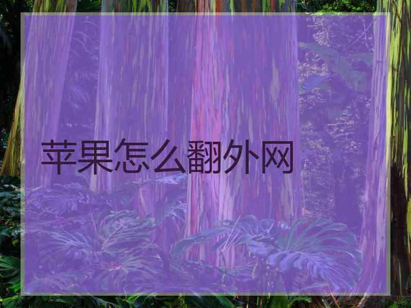 苹果怎么翻外网