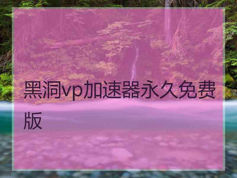 黑洞vp加速器永久免费版