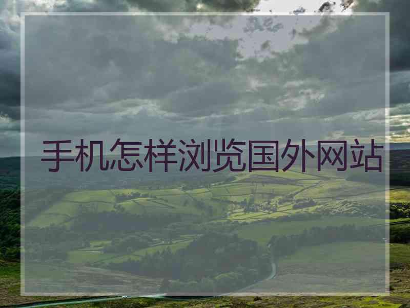 手机怎样浏览国外网站