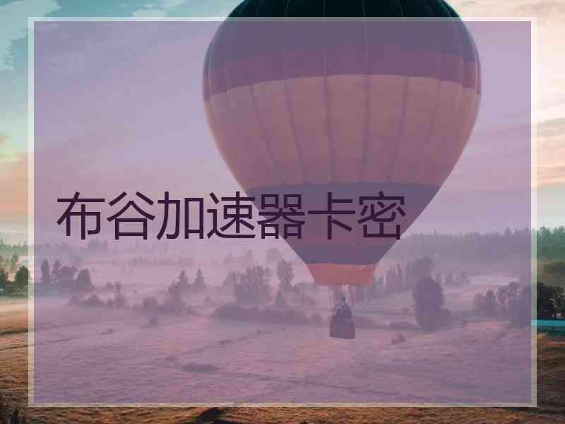 布谷加速器卡密