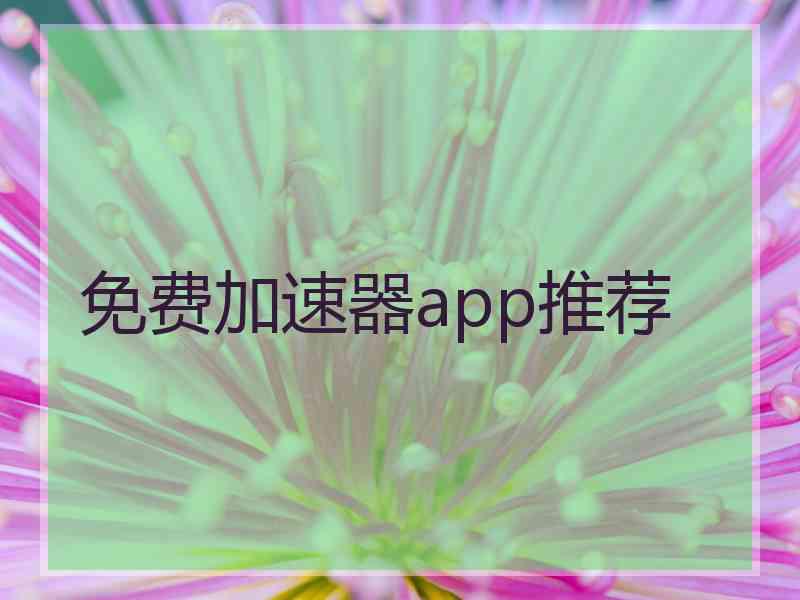 免费加速器app推荐