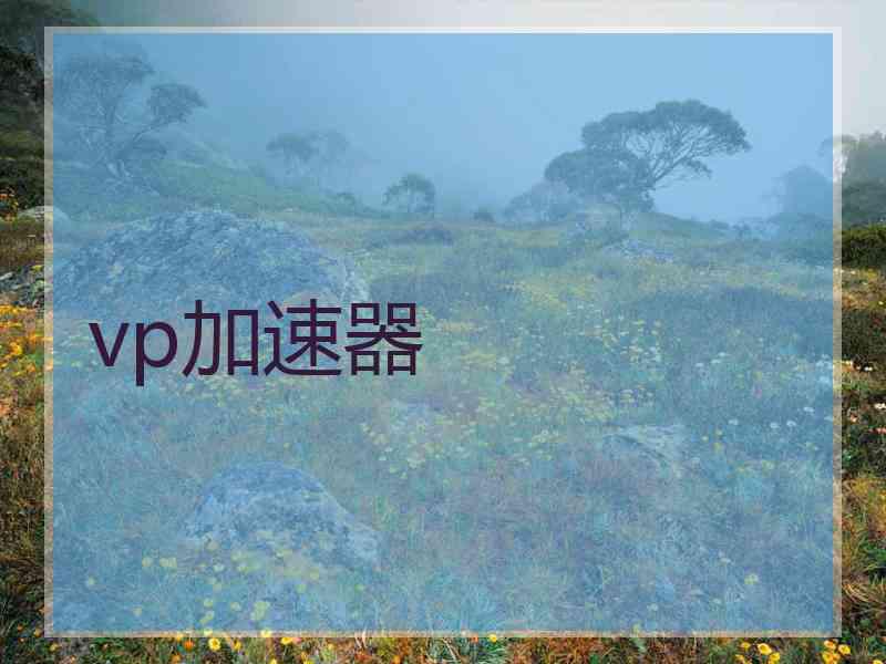 vp加速器