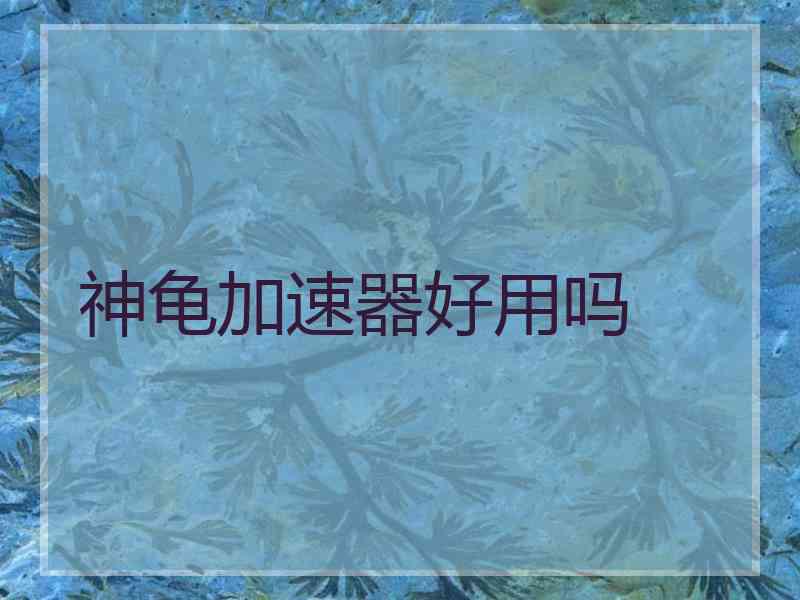 神龟加速器好用吗