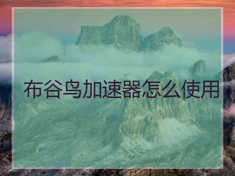布谷鸟加速器怎么使用