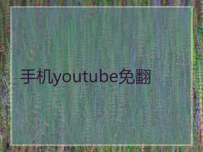 手机youtube免翻