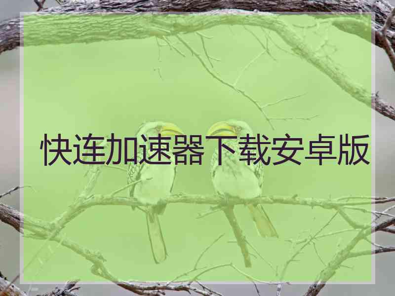 快连加速器下载安卓版
