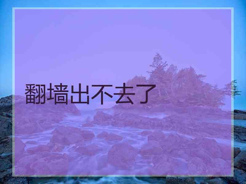 翻墙出不去了