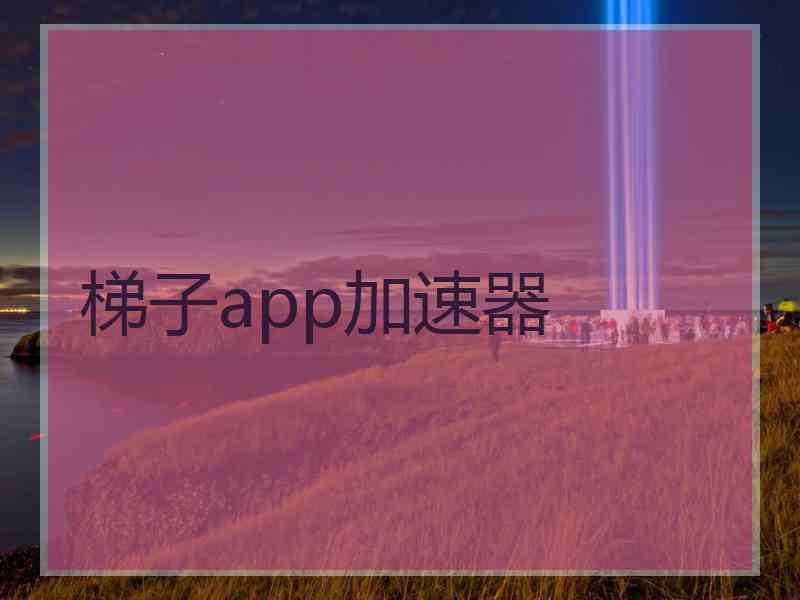梯子app加速器