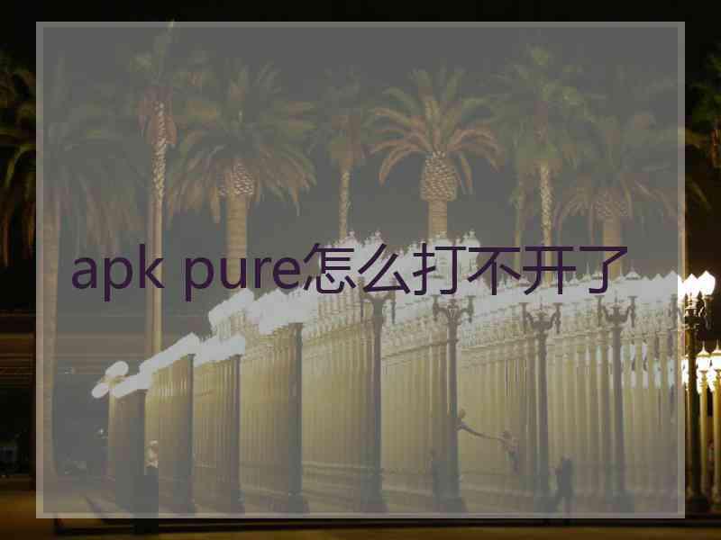 apk pure怎么打不开了