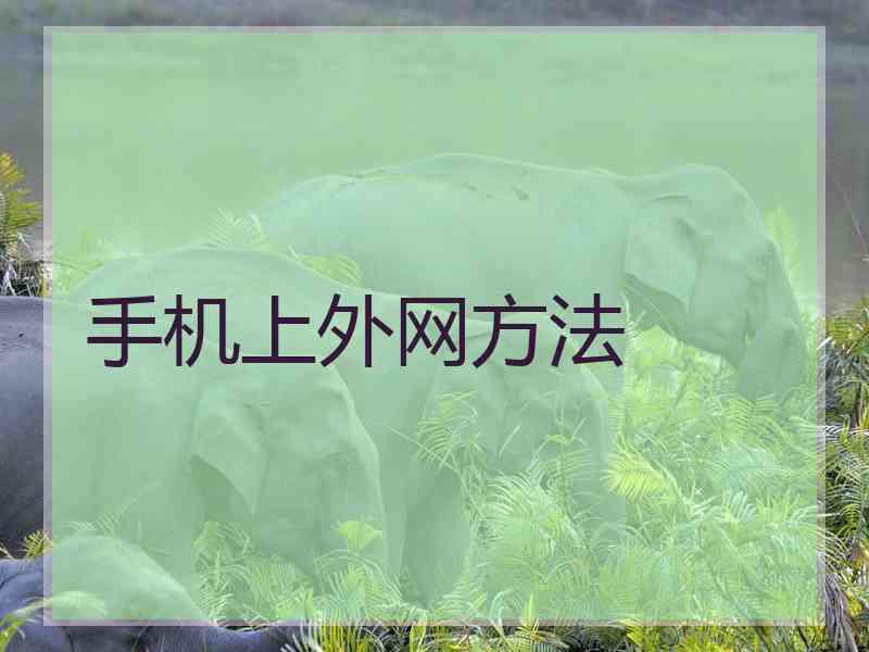 手机上外网方法