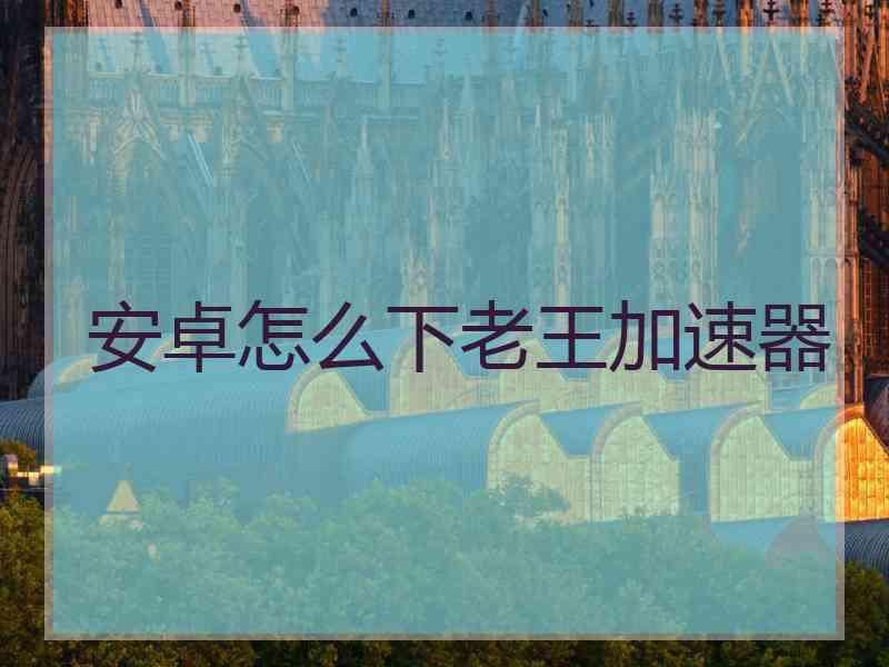安卓怎么下老王加速器