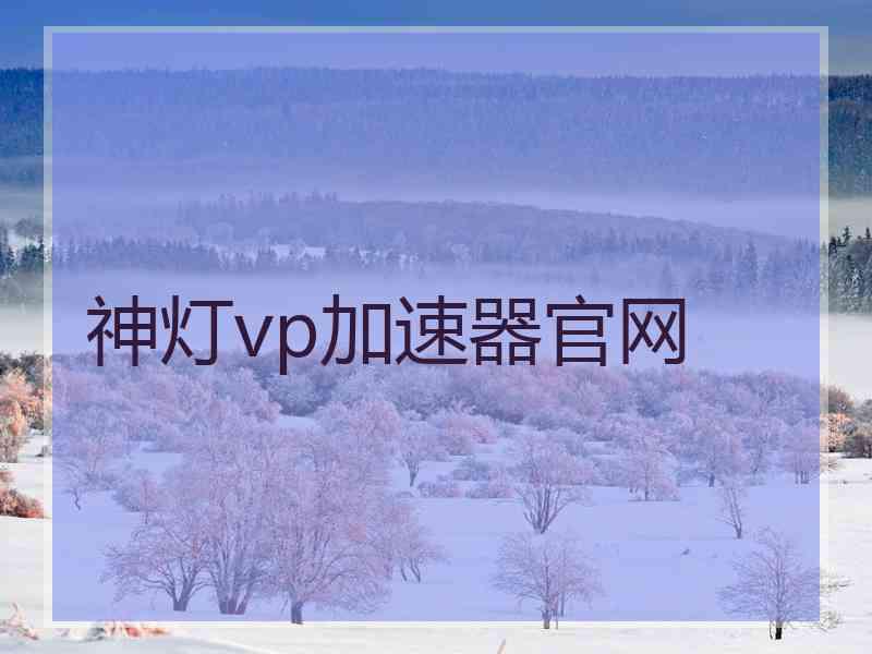 神灯vp加速器官网