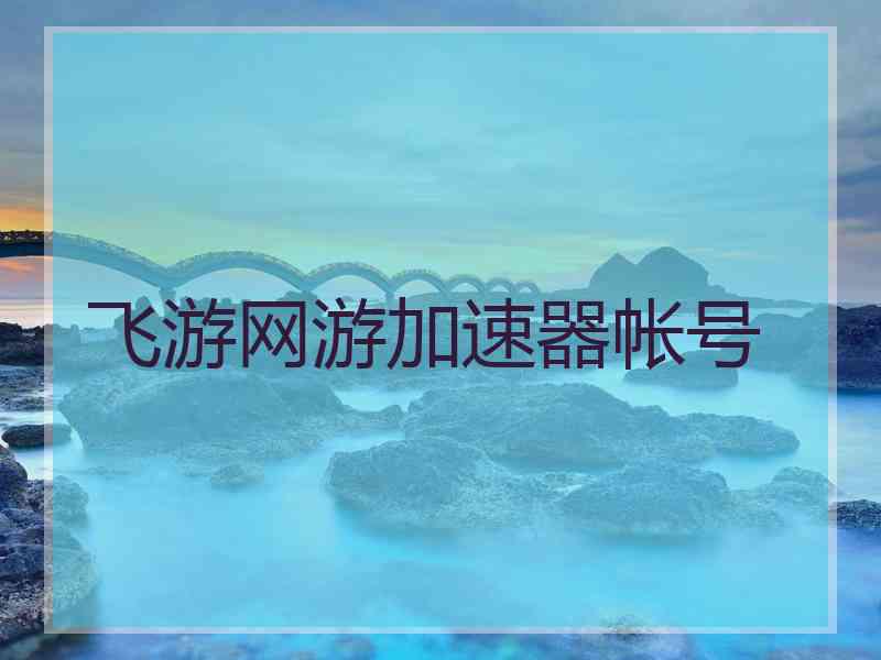 飞游网游加速器帐号