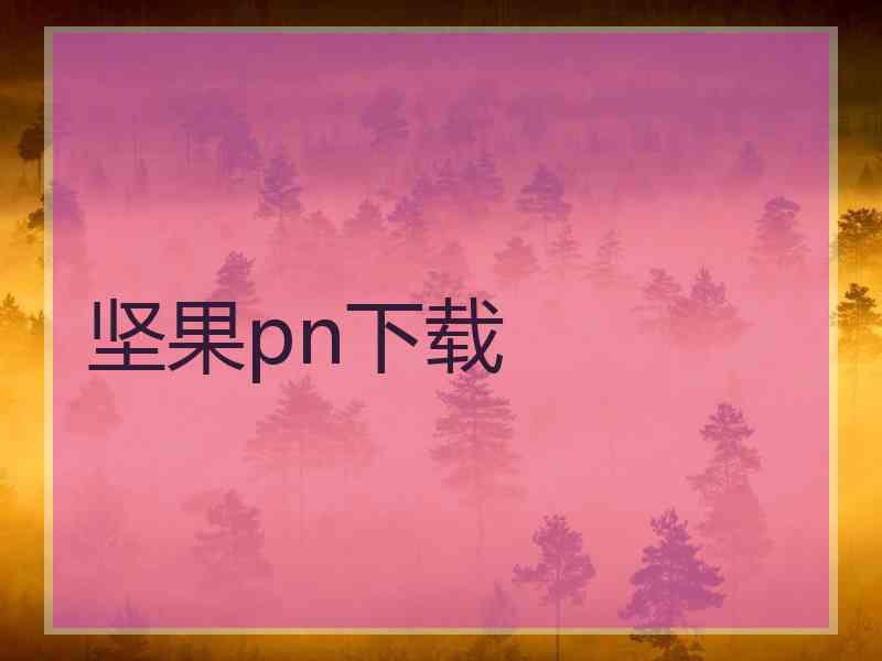 坚果pn下载