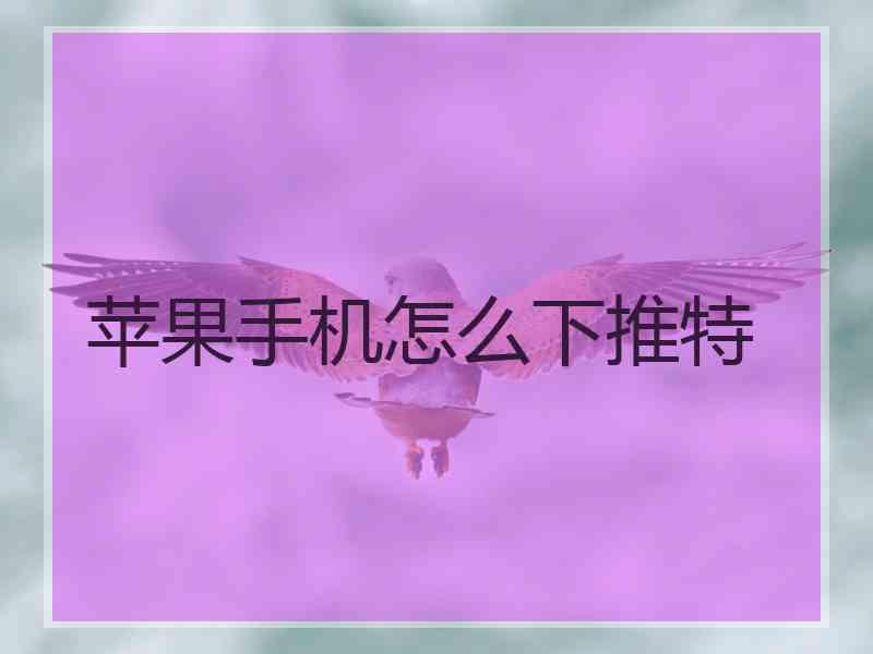 苹果手机怎么下推特