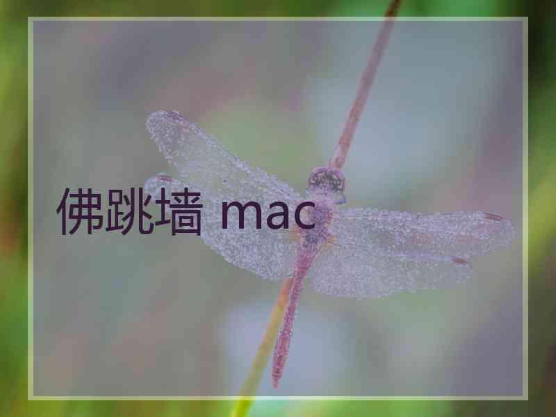 佛跳墙 mac