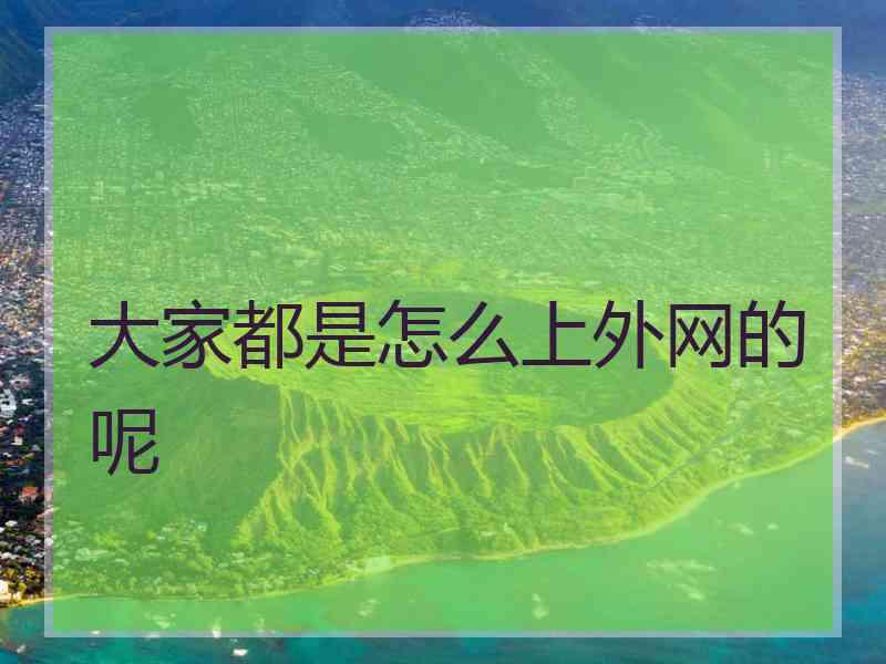 大家都是怎么上外网的呢