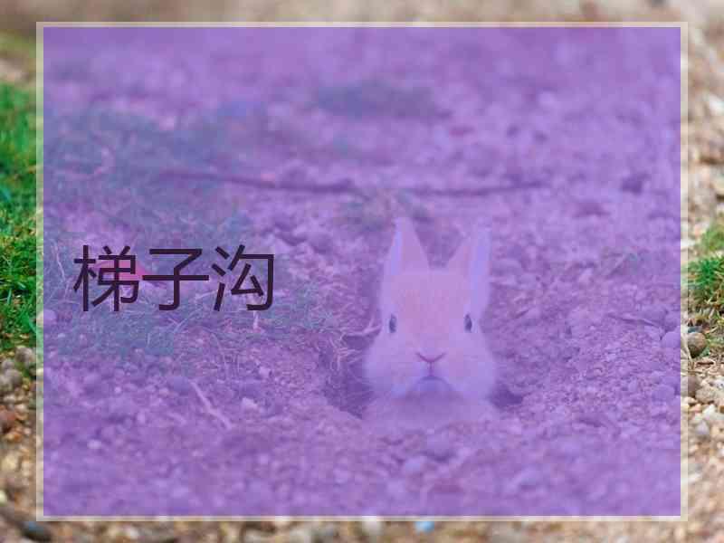 梯子沟