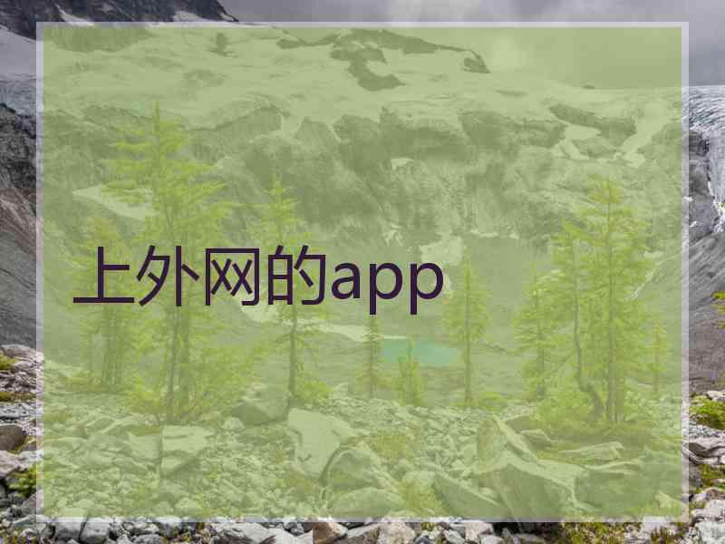 上外网的app