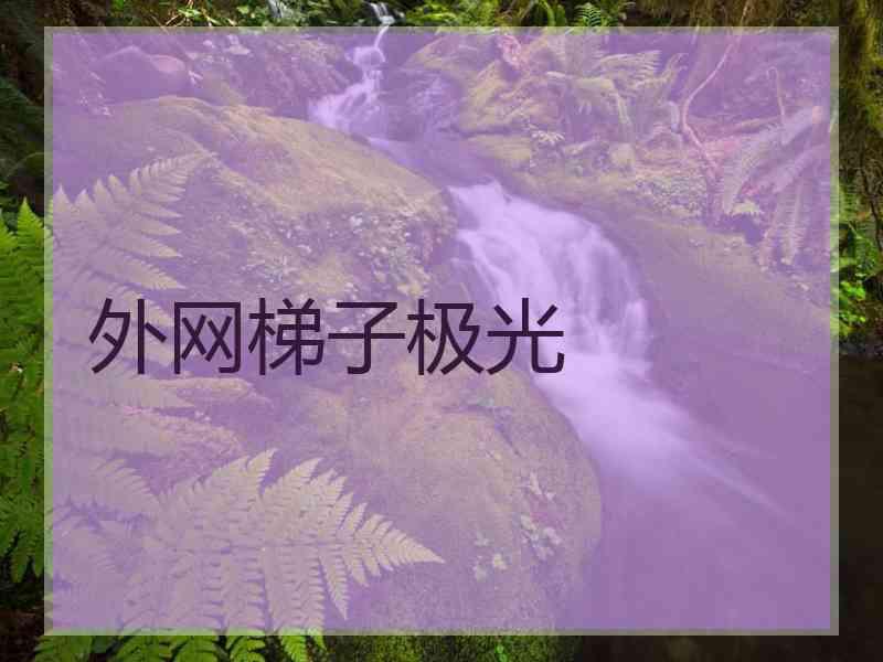 外网梯子极光
