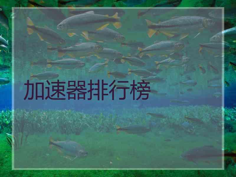 加速器排行榜