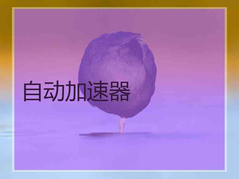 自动加速器