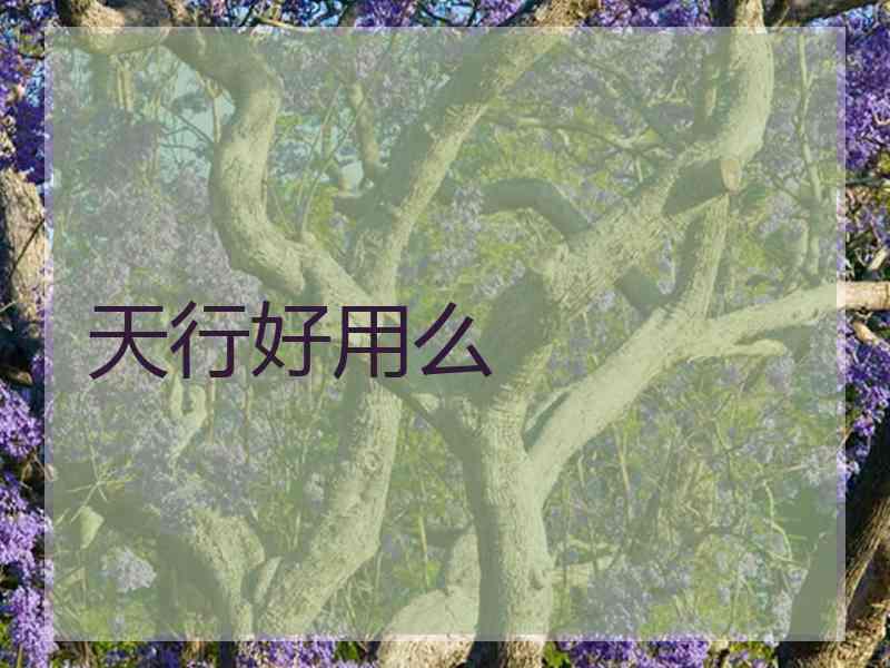 天行好用么