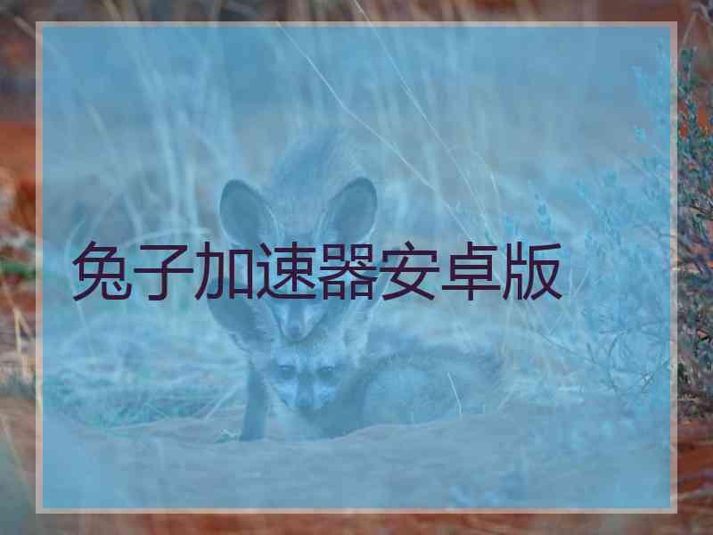兔子加速器安卓版