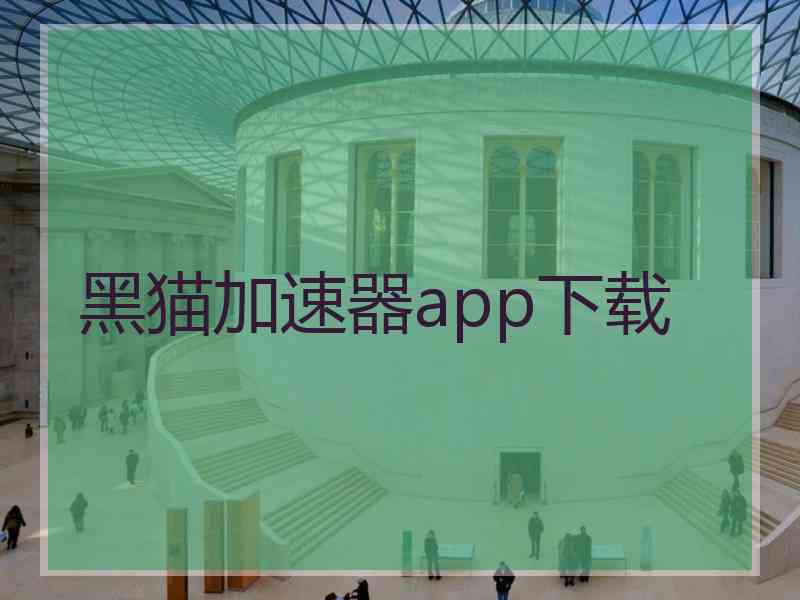 黑猫加速器app下载