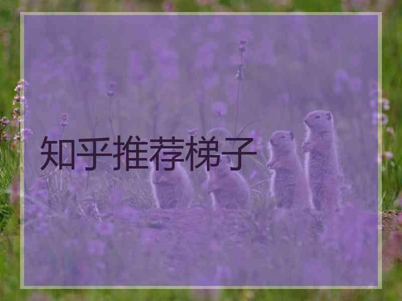 知乎推荐梯子