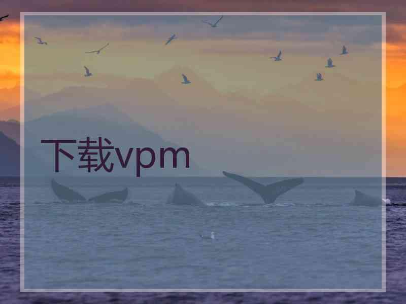 下载vpm