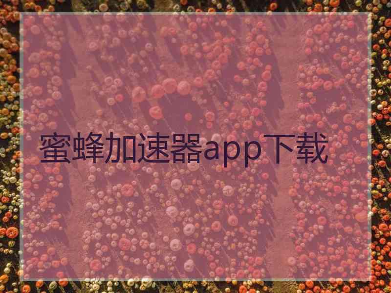 蜜蜂加速器app下载