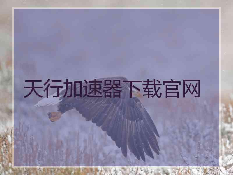 天行加速器下载官网