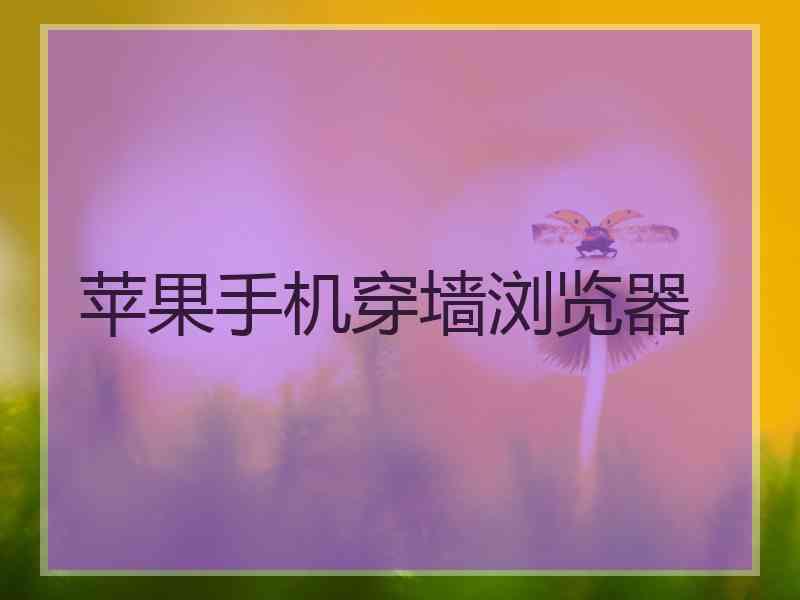 苹果手机穿墙浏览器