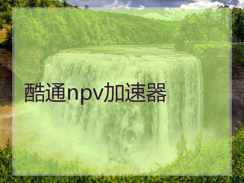 酷通npv加速器