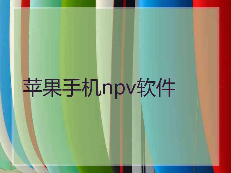 苹果手机npv软件