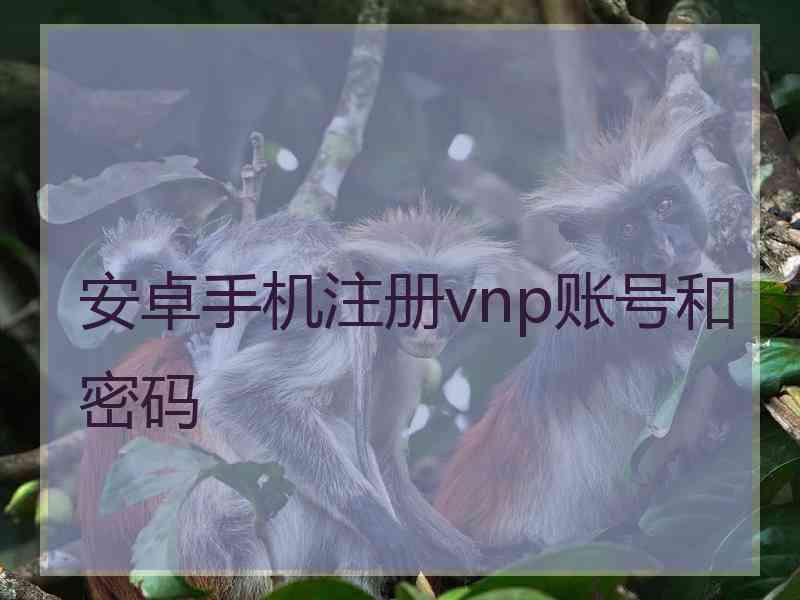 安卓手机注册vnp账号和密码