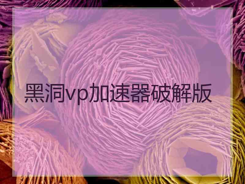 黑洞vp加速器破解版