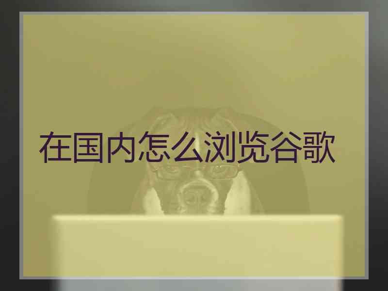 在国内怎么浏览谷歌