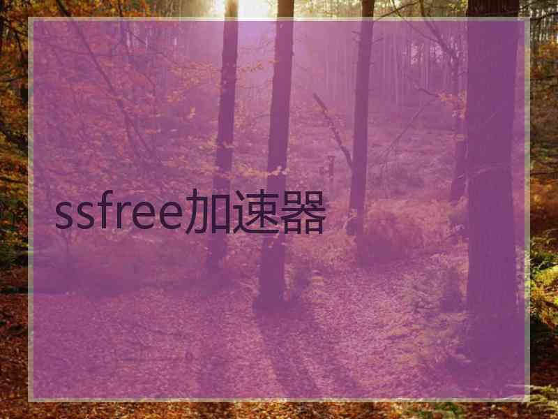 ssfree加速器
