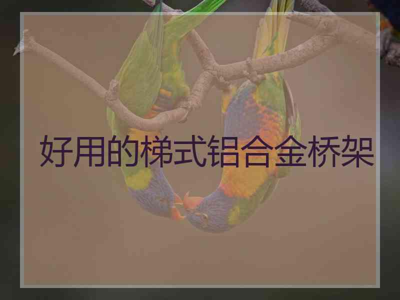 好用的梯式铝合金桥架